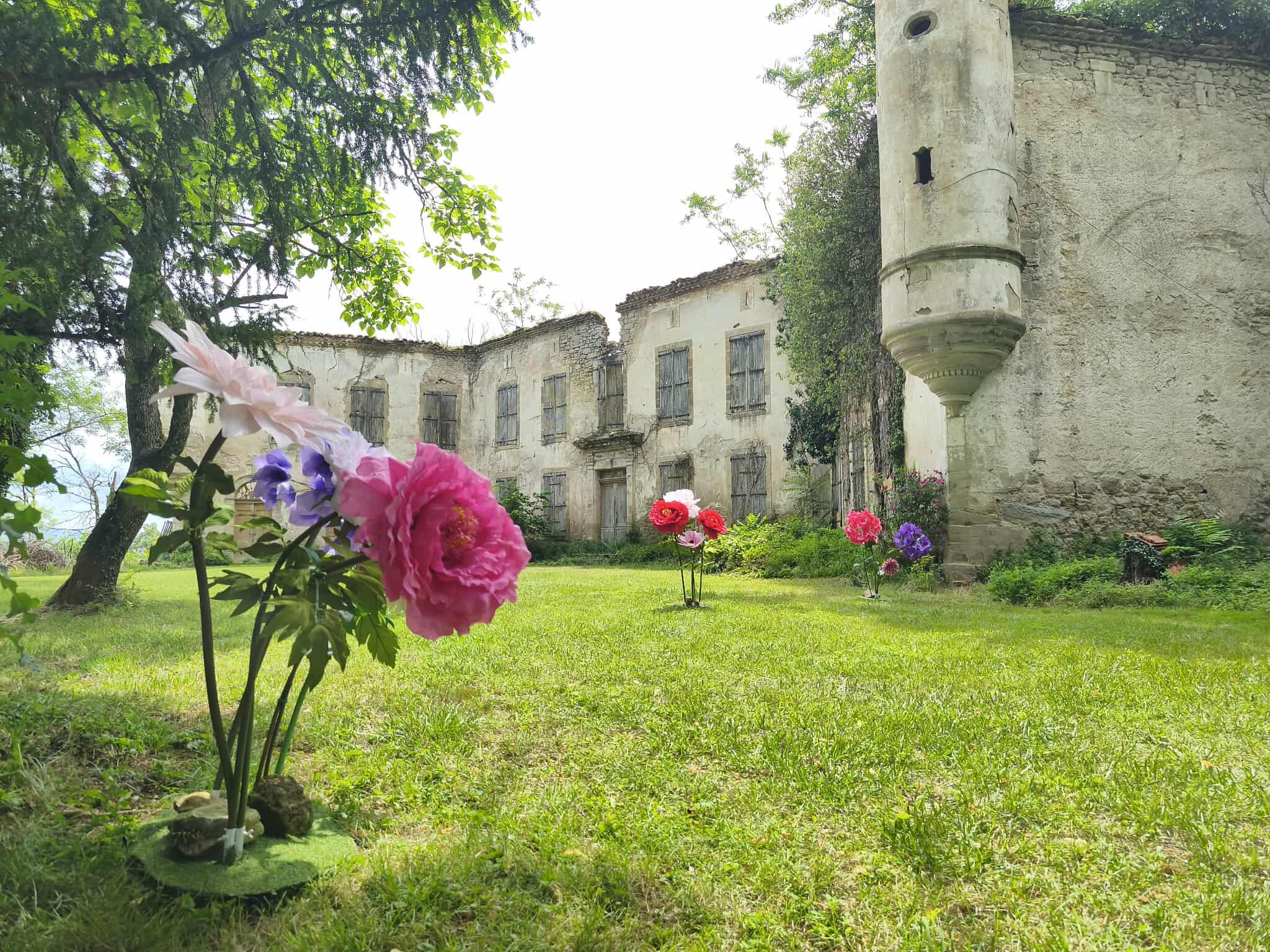 Location Fleurs XXL à partir de 15€