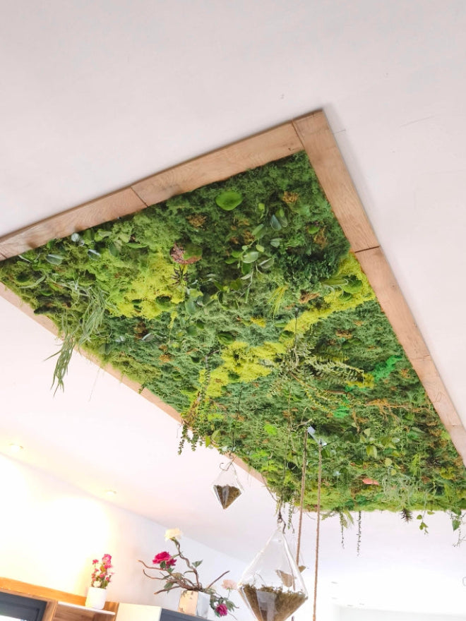 Plafond végétal sur mesure